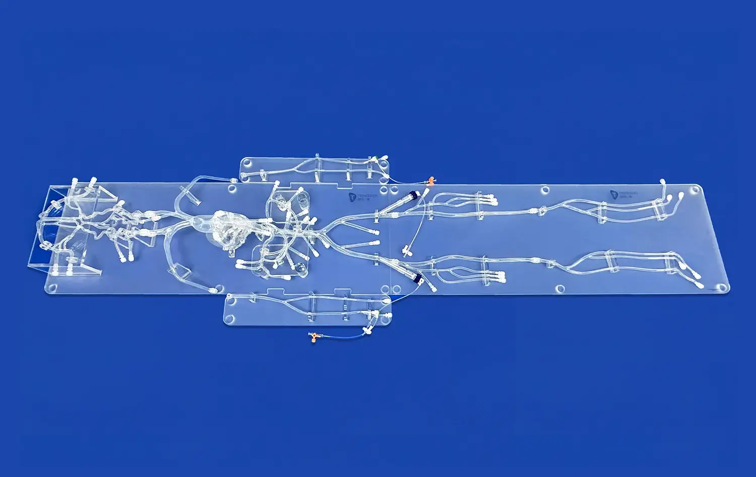 Full Body Artery IX(FA010D) Full Body Artery IX(FA010D)