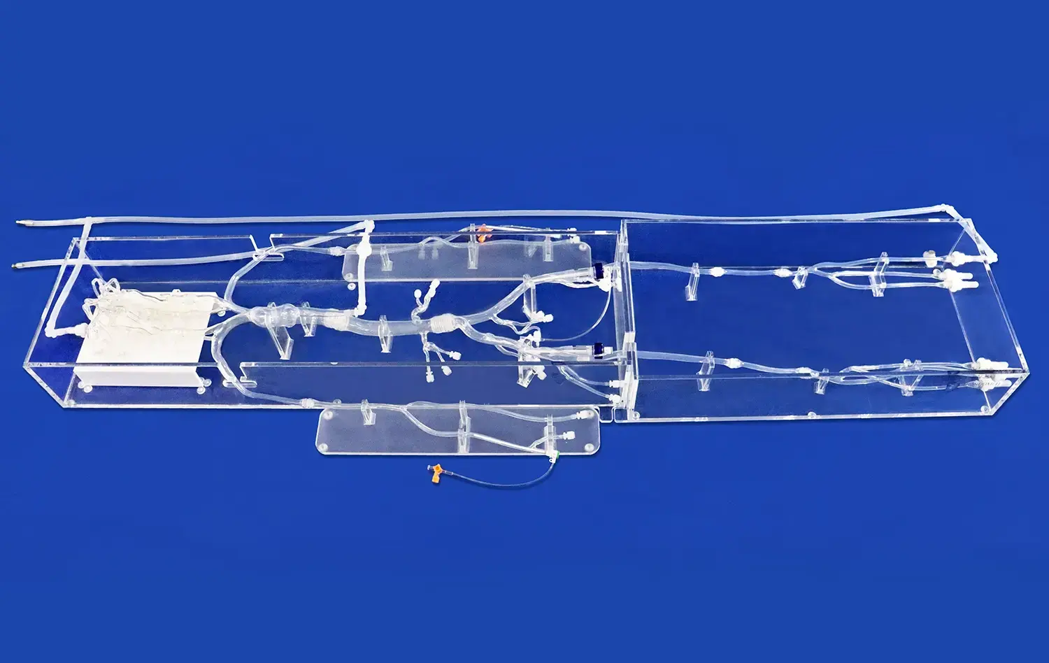 Full Body Artery VII(FA008D) Full Body Artery VII(FA008D)