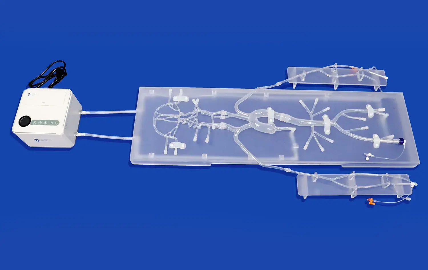 Neuro Vascular System XI(SJ001D-011) Neuro Vascular System XI(SJ001D-011)