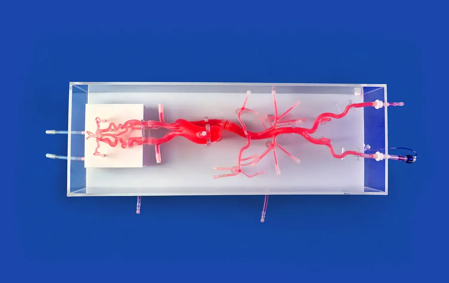 Neuro Vascular System XVIII(SJ001D-018) Neuro Vascular System XVIII(SJ001D-018)