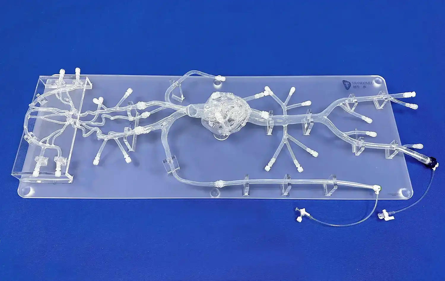 Angio-interventions Training System VII(QS001D-01) Angio-interventions Training System VII(QS001D-01)