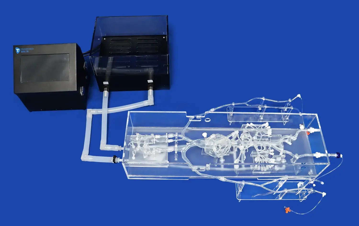 Angio-interventions Training SystemⅤ(FA006D) Angio-interventions Training SystemⅤ(FA006D)