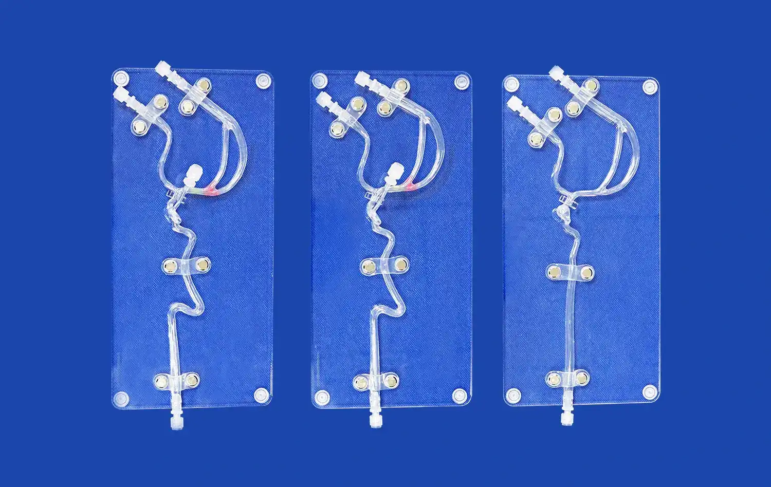 Middle Cerebral Artery(SJX005) Middle Cerebral Artery(SJX005)