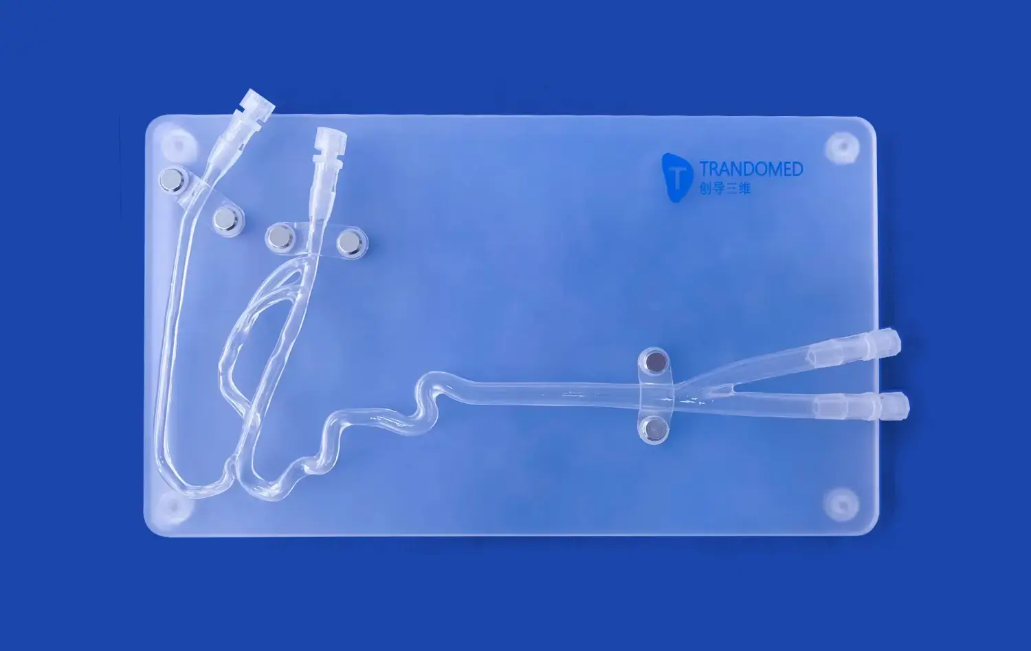 SJJ004D-01 SJJ004D-01