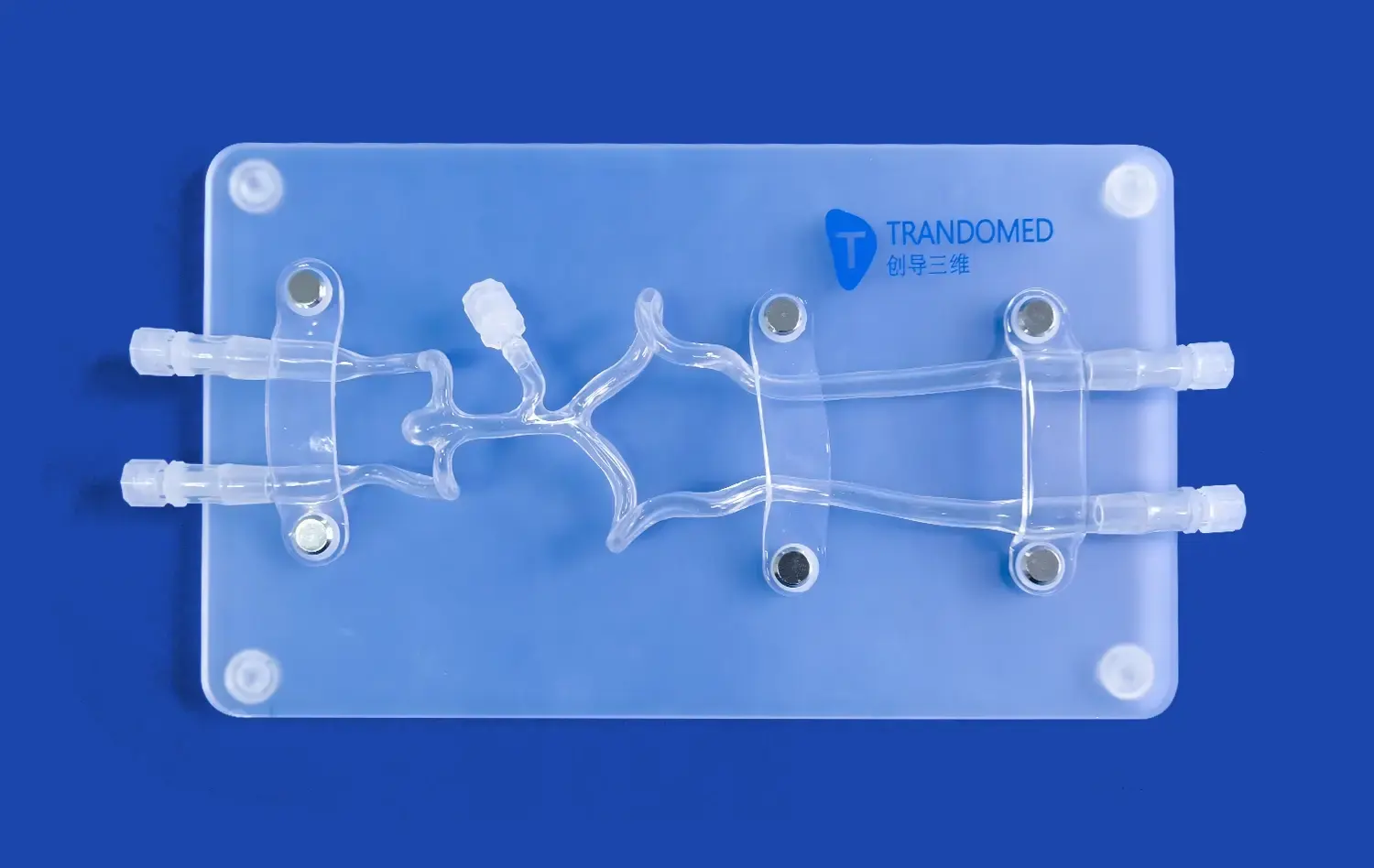 Vertebral Basilar(SJK009D) Vertebral Basilar(SJK009D)