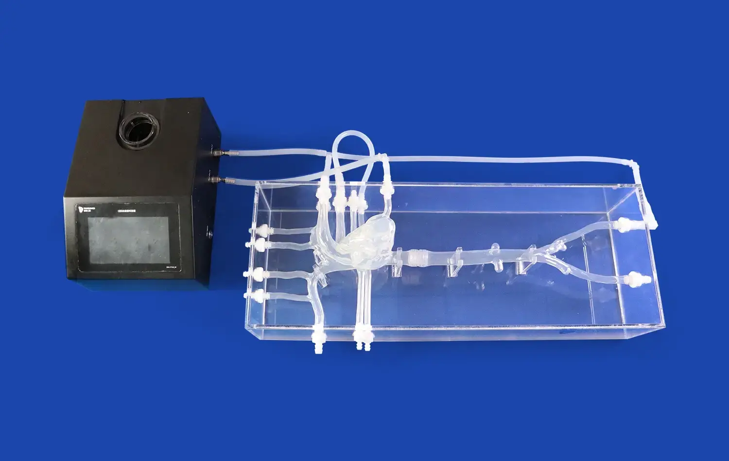 Cardiac Vein II(XXJ002) Cardiac Vein II(XXJ002)