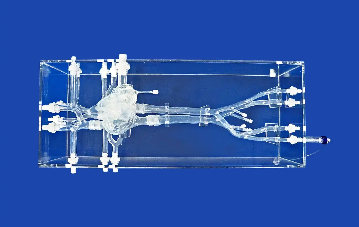 Arteriovenous Heart(XXK001DJ) Arteriovenous Heart(XXK001DJ)