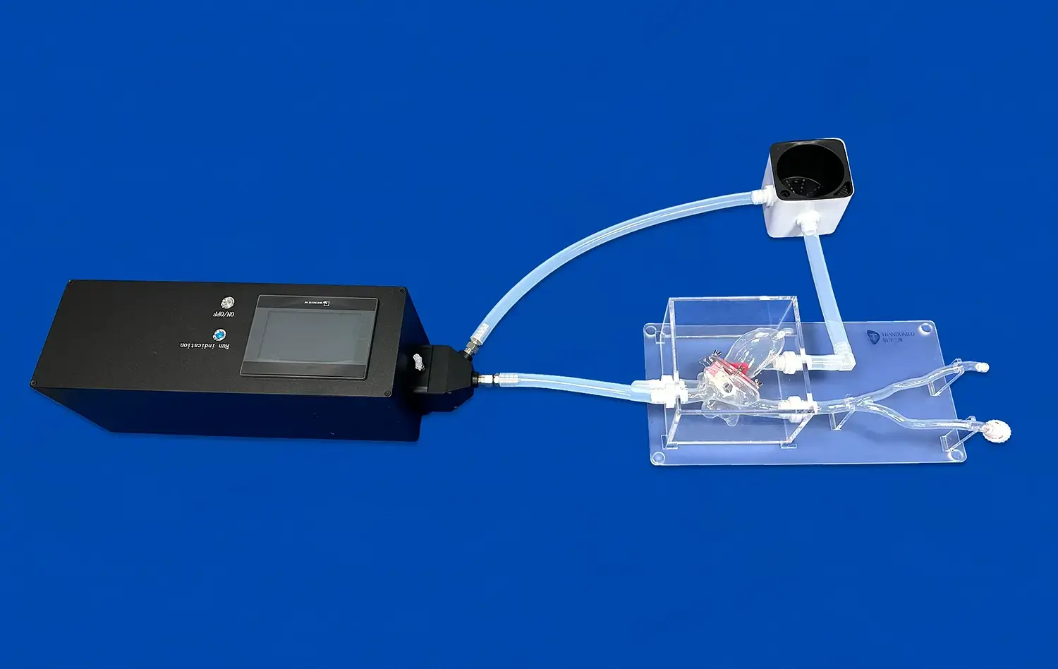 Mitral Valve(XXD006) Mitral Valve(XXD006)