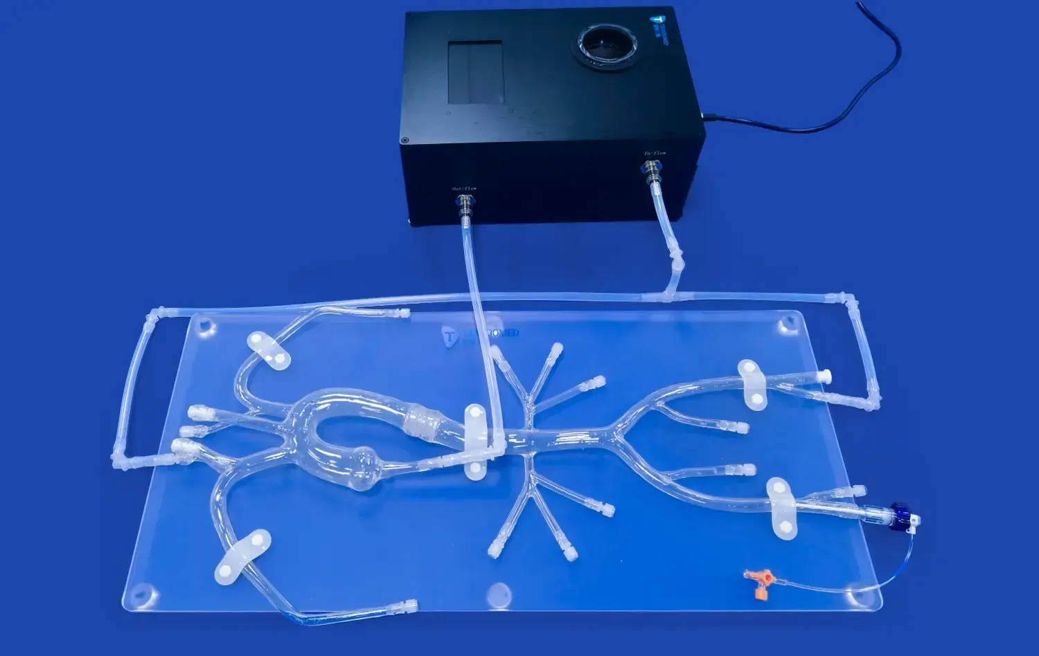 Aorta Model I(XX001D) Aorta Model I(XX001D)