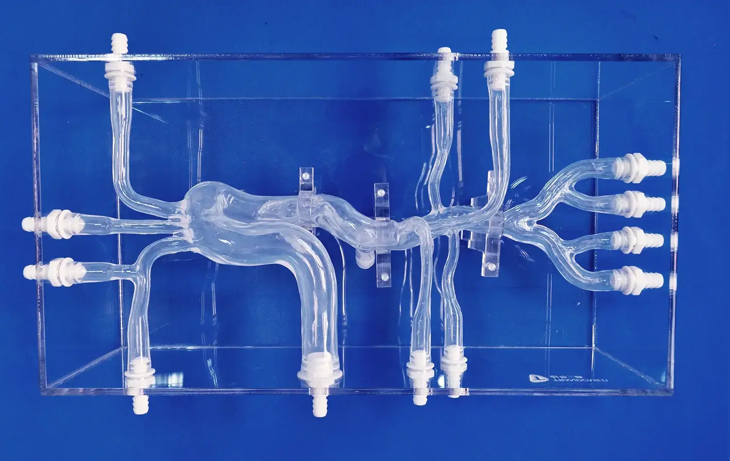 Aortic Dissection(XXK004D) Aortic Dissection(XXK004D)