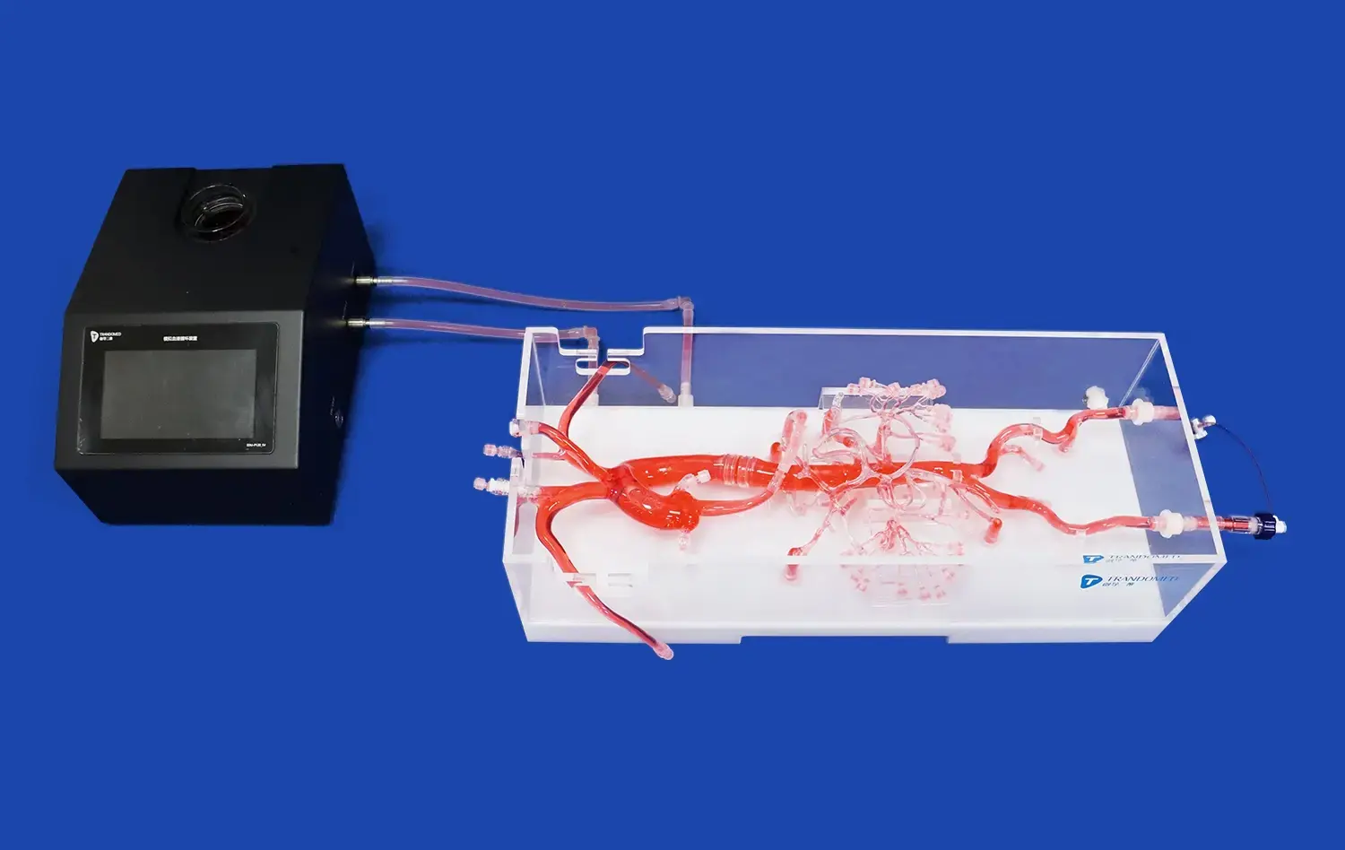 Abdominal Vascular(FBD001) Abdominal Vascular(FBD001)