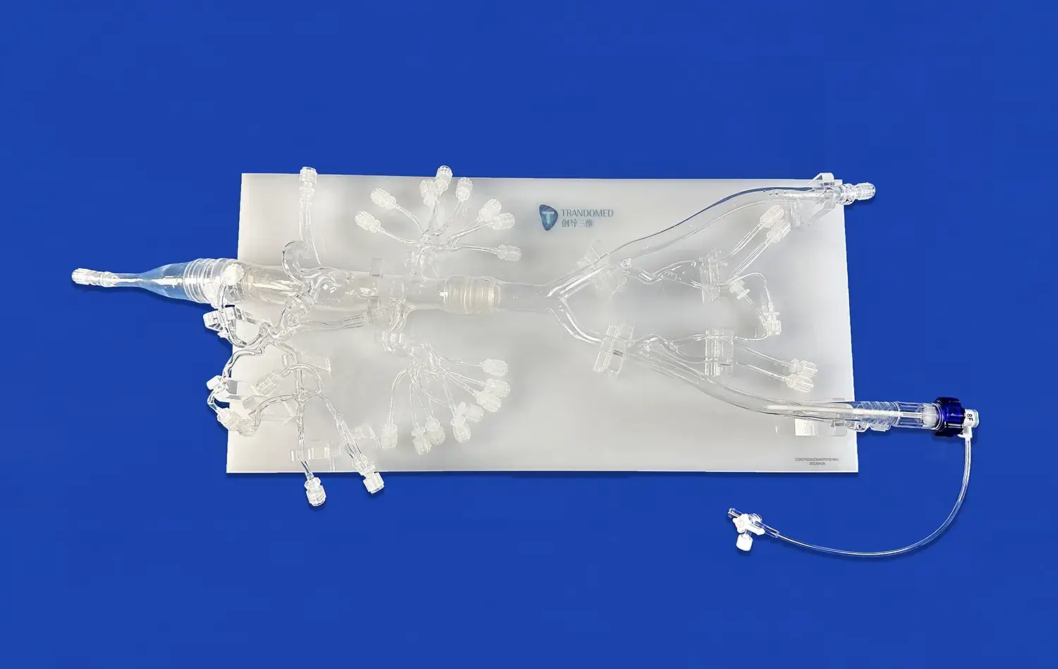 Abdominal Vascular X(FBD030) Abdominal Vascular X(FBD030)