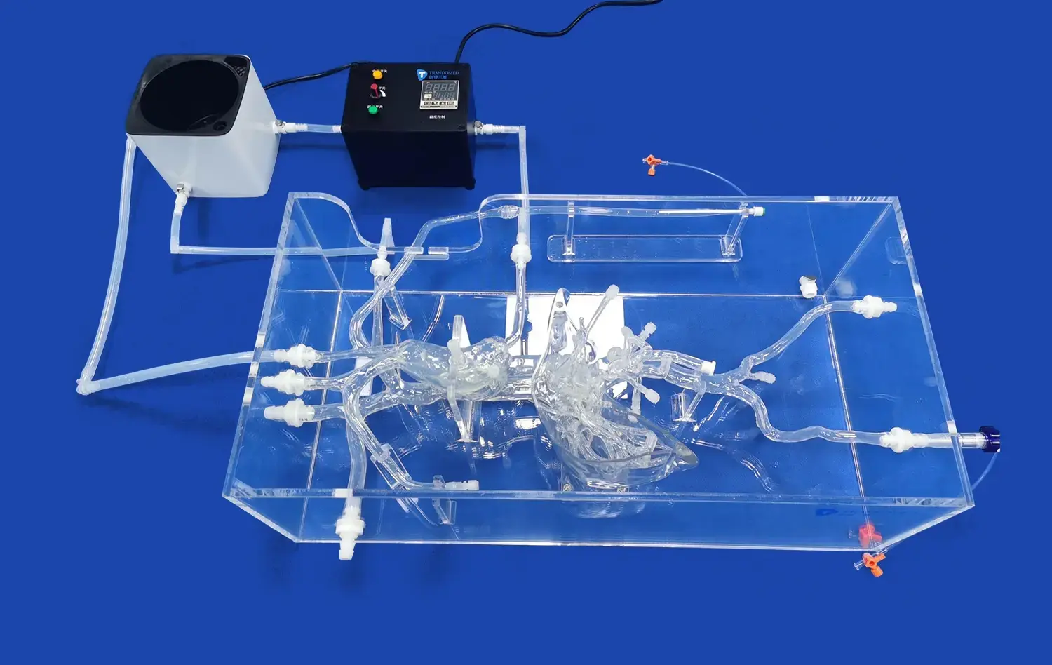 Peripheral Vascular I(FBD003) Peripheral Vascular I(FBD003)