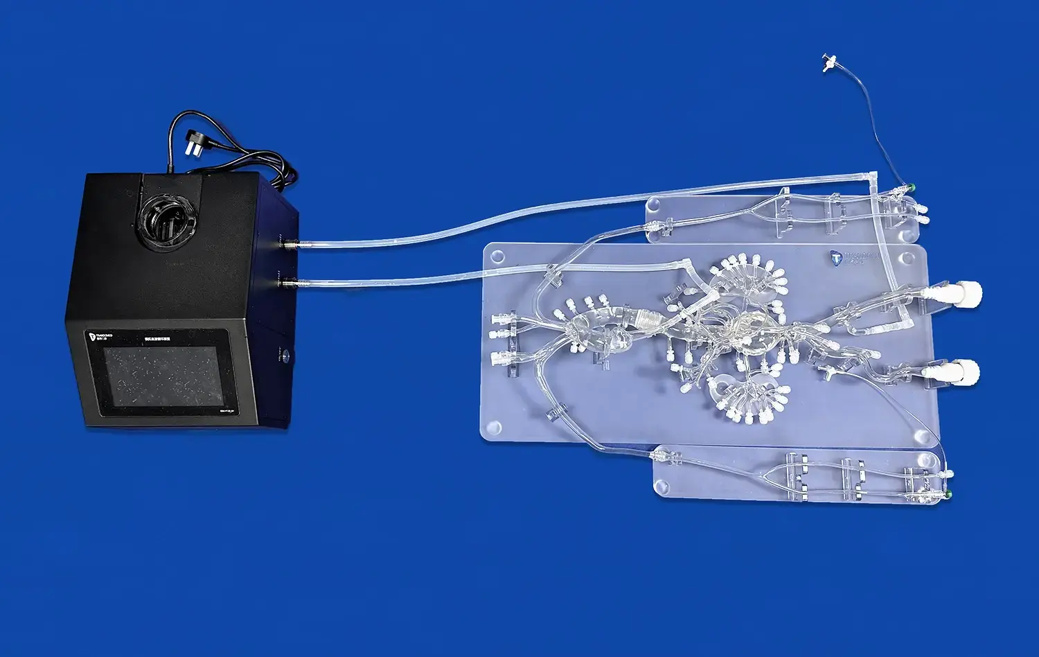 Abdominal Vascular XII(FBD031) Abdominal Vascular XII(FBD031)