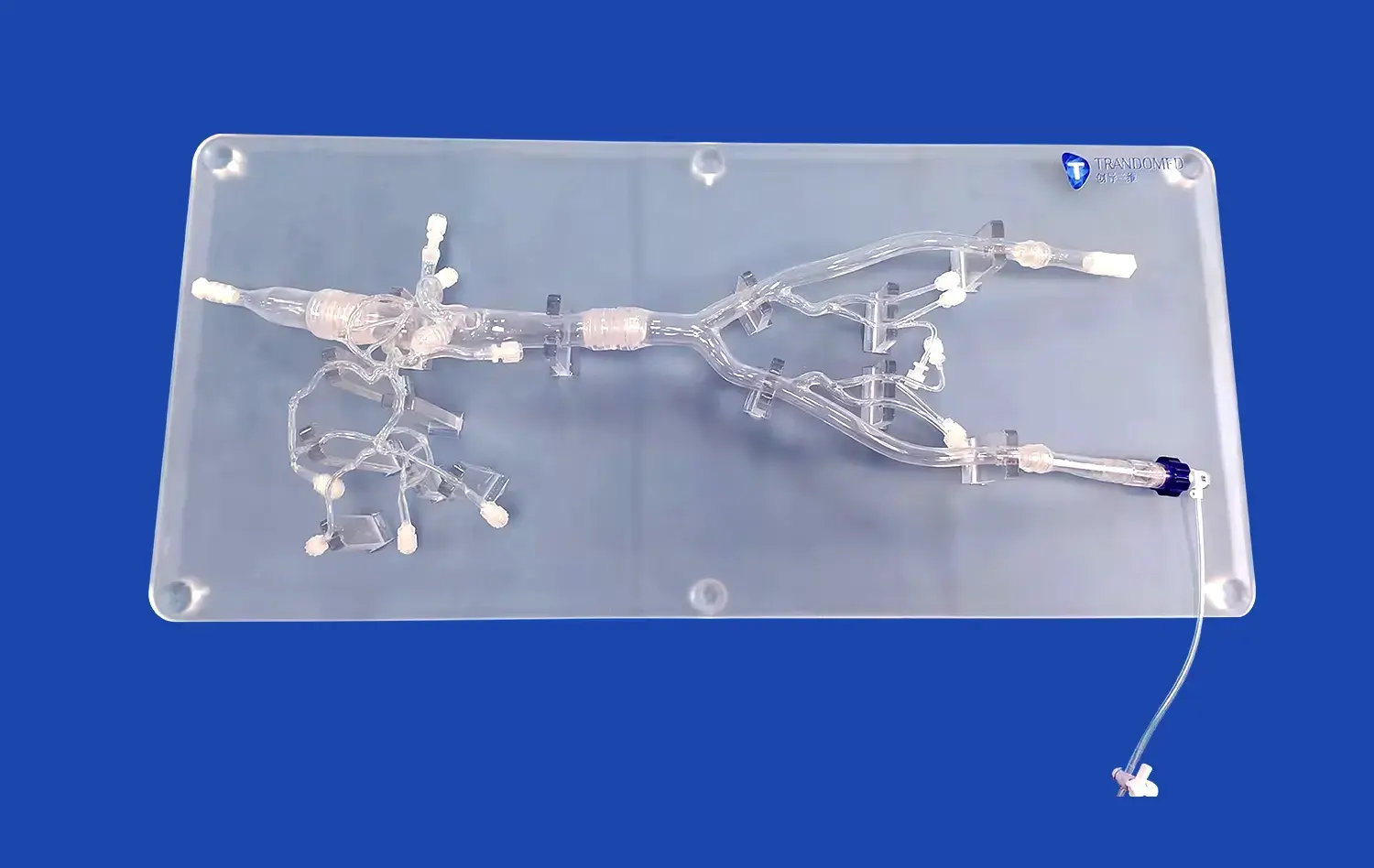 Abdominal Vascular XIII(FBD032) Abdominal Vascular XIII(FBD032)