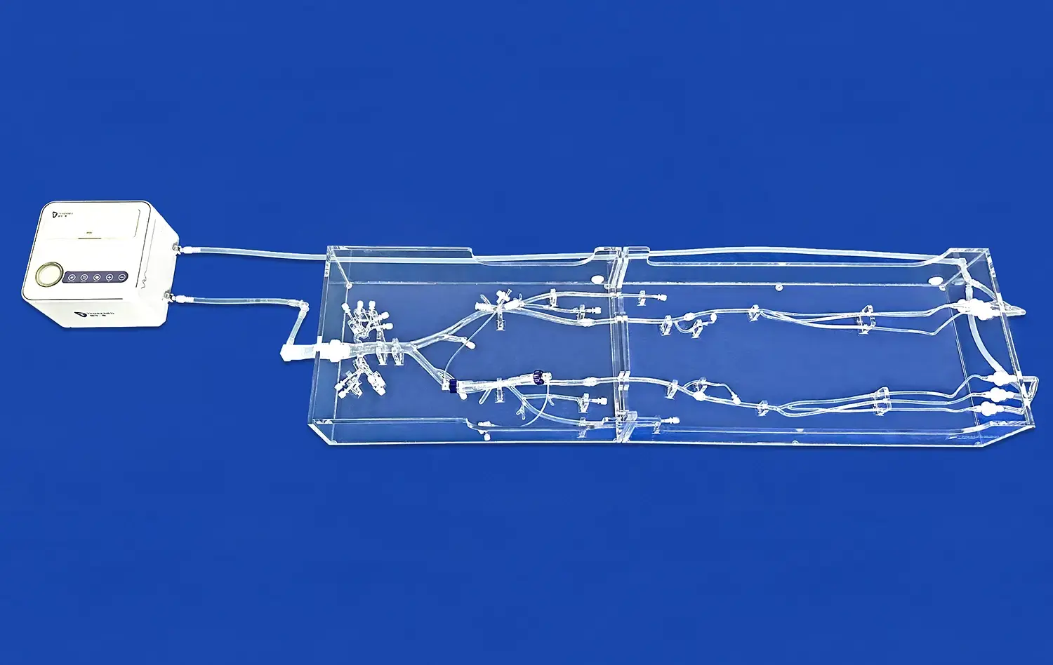 Arterial Leg XII(XZD011) Arterial Leg XII(XZD011)