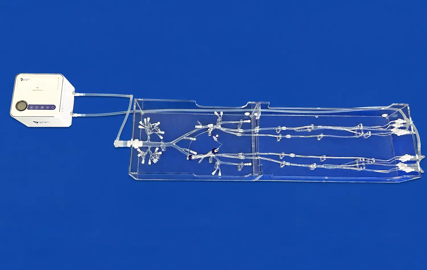 Lower Extremity Vein II(XZJ002) Lower Extremity Vein II(XZJ002)