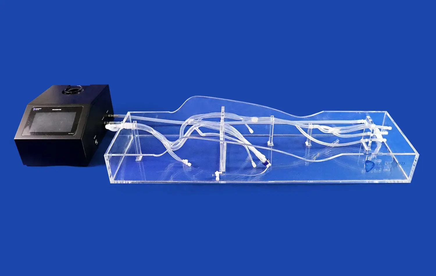Lower Extremity Vein I(XZJ001) Lower Extremity Vein I(XZJ001)