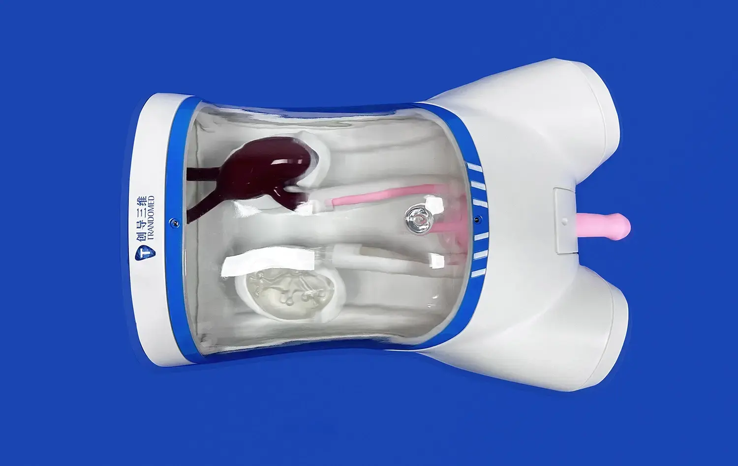 Ureteroscopy Simulator ⅤIII (MN-02-08) Ureteroscopy Simulator ⅤIII (MN-02-08)