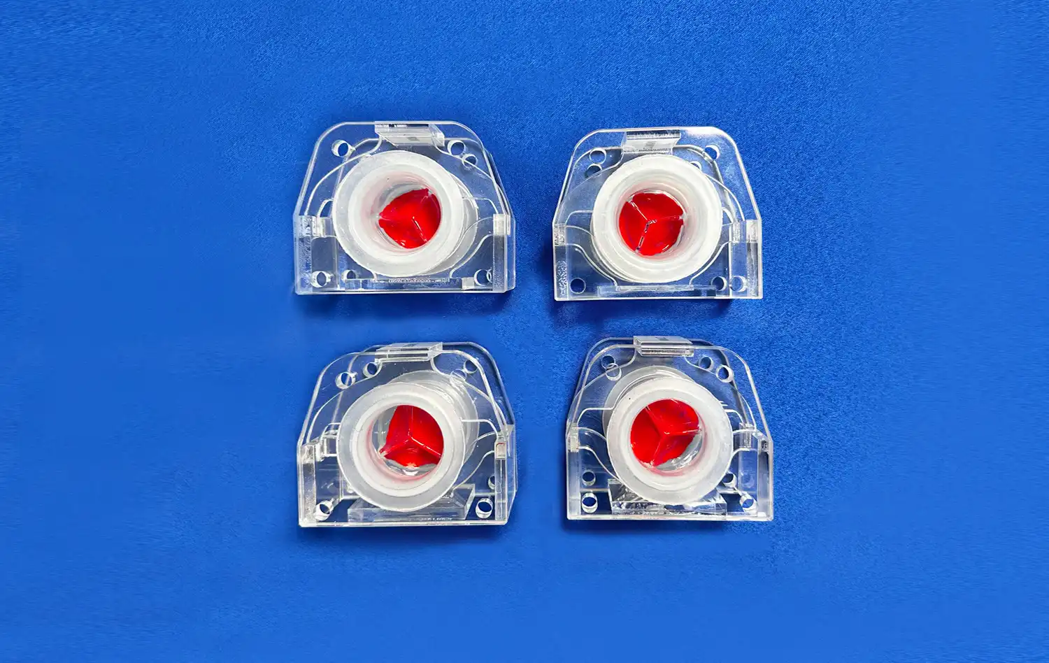 2 healthy valves and 2 calcified valves 2 healthy valves and 2 calcified valves