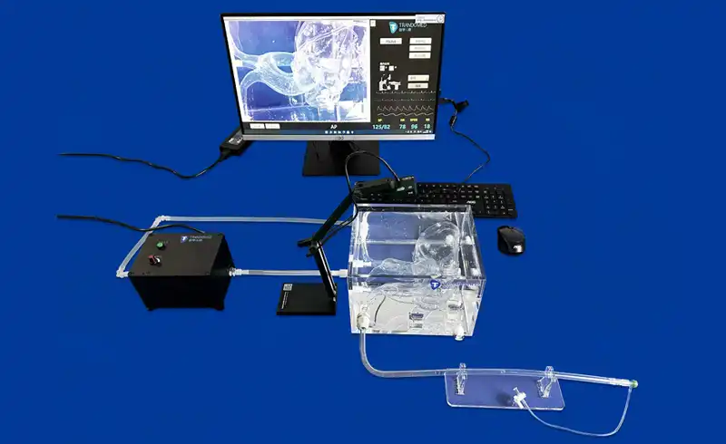 PCI Model(XX002D) PCI Model(XX002D)