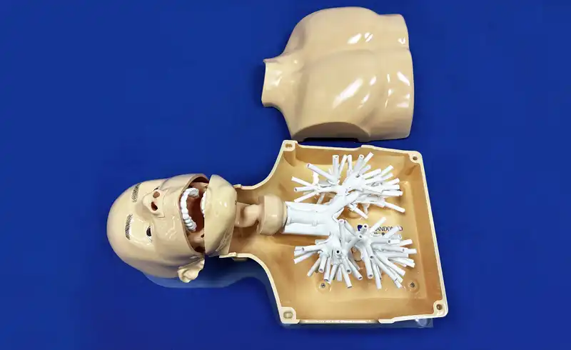 Bronchoscopy Simulator(ZQG-01) Bronchoscopy Simulator(ZQG-01)