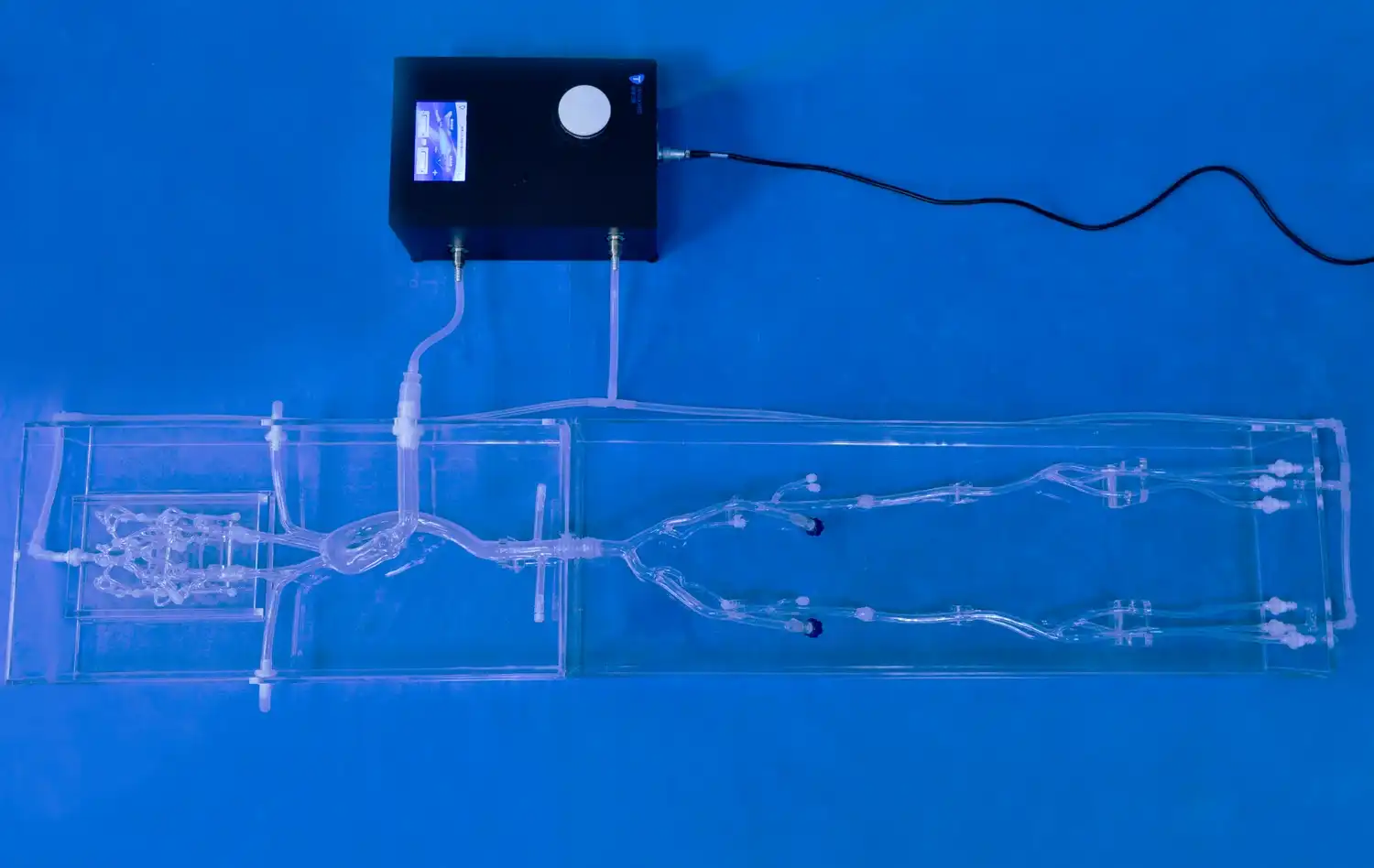 Full Body Artery Ⅲ(FA003D) Full Body Artery Ⅲ(FA003D)