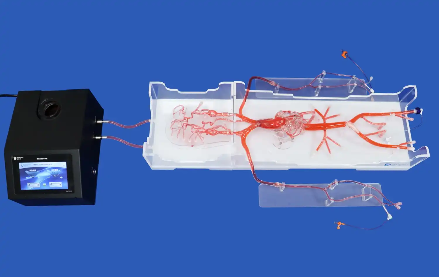 Angio Interventions Training System(QS002D-02) Angio Interventions Training System(QS002D-02)