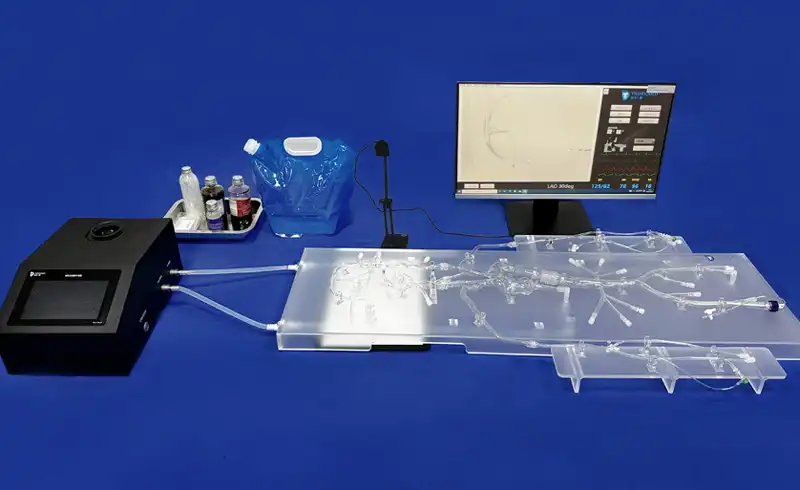 Cranial Nerves 3d Model(SJZ002D) Cranial Nerves 3d Model(SJZ002D)