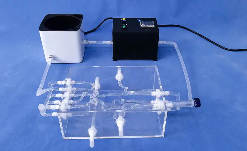 Cerebral Model(SJK002D) Cerebral Model(SJK002D)