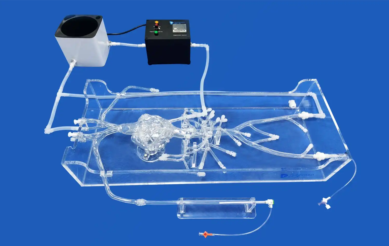 Coronary Artery Intervention Coronary Artery Intervention
