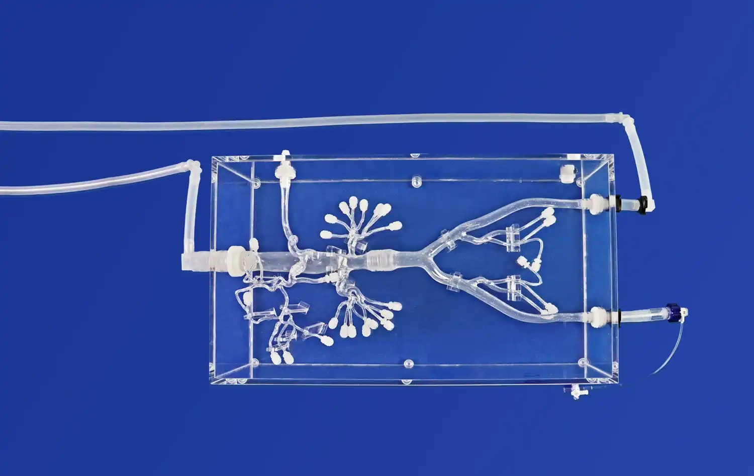 product-1-1 product-1-1