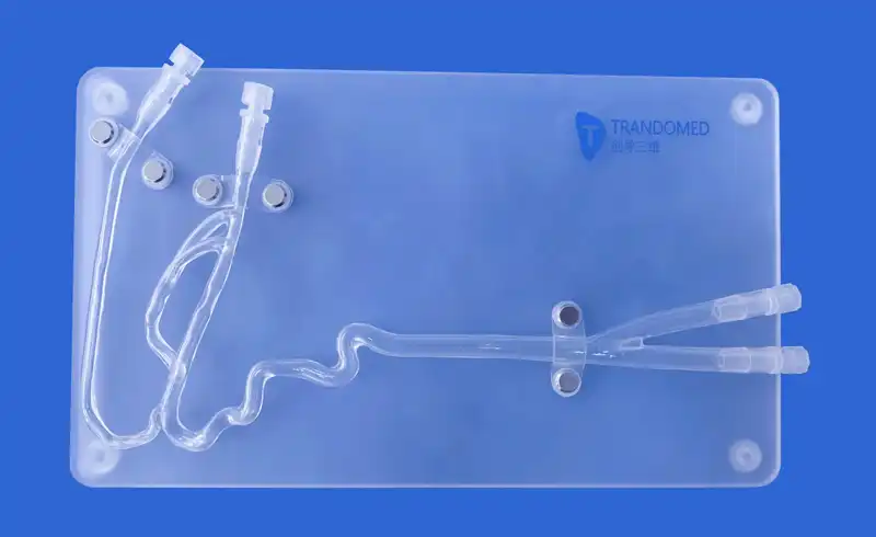 Carotid Artery 3D(SJJ004D-01) Carotid Artery 3D(SJJ004D-01)