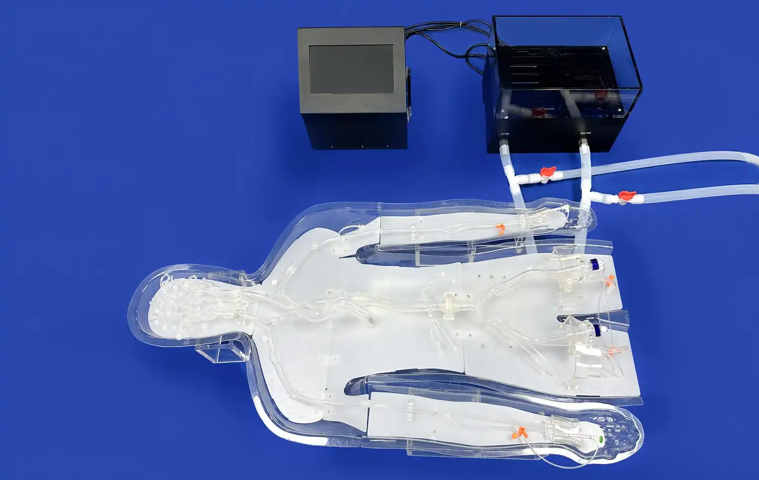 Endovascular Intervention Trainer I Endovascular Intervention Trainer I