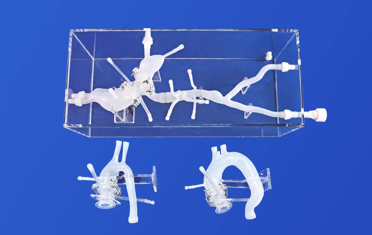 Aortic Arch Replaceable Aortic Arch Replaceable