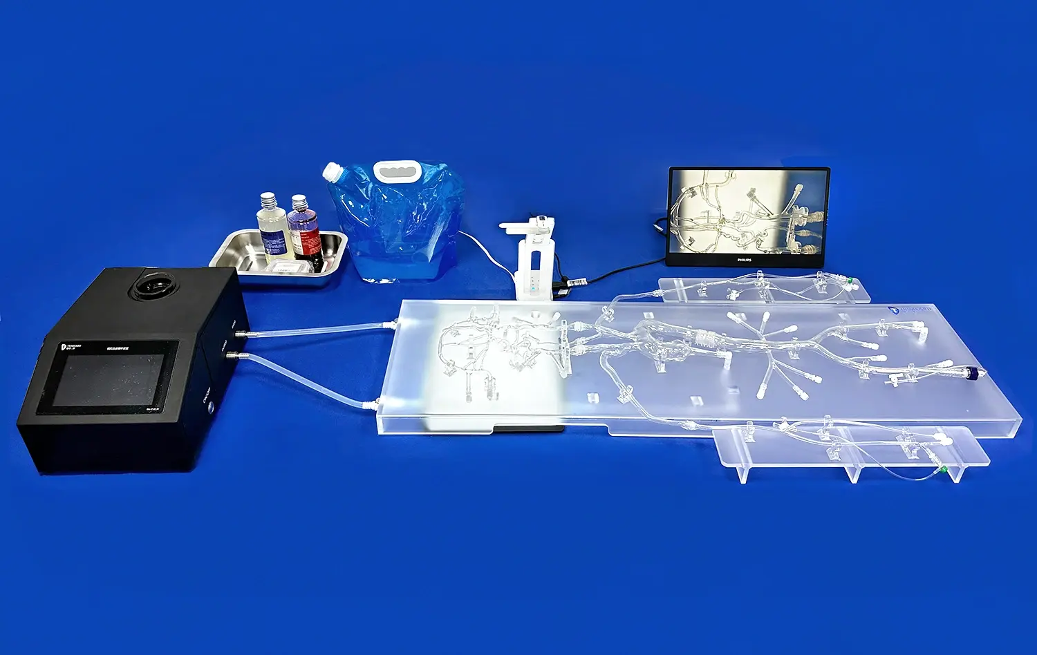 Neurovascular Bundle Lab Model